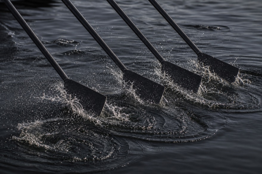 Ruderblätter eines Rennachters schneiden gleichzeitig ins dunkle Wasser